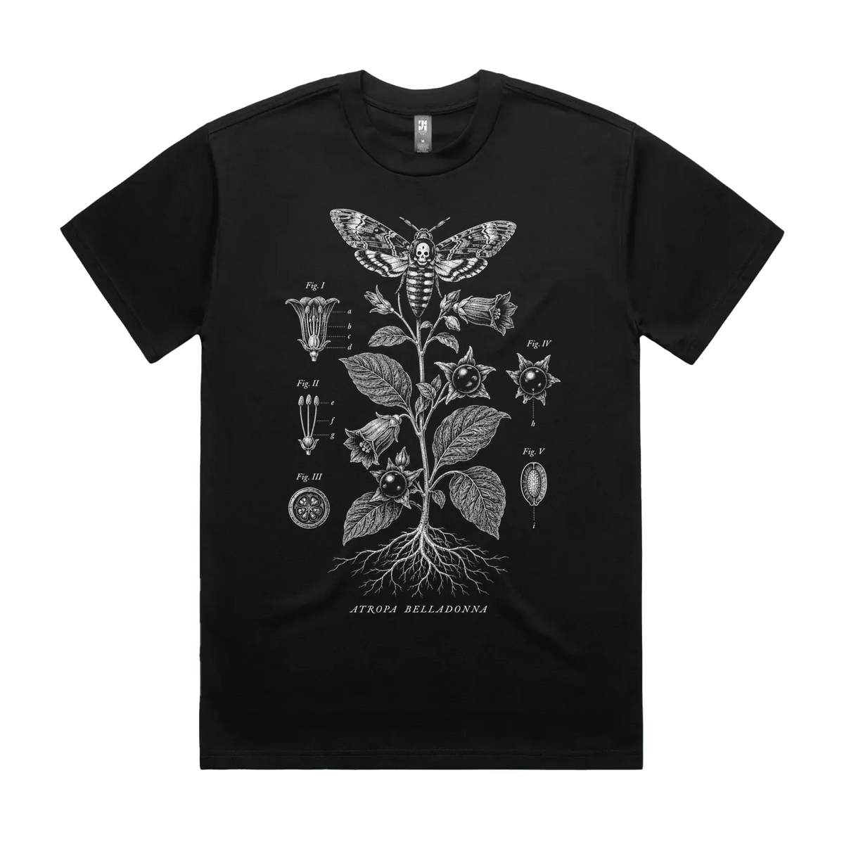 Front mockup of Vestigium XIII luxury 280 GSM heavyweight black t-shirt featuring a highly detailed botanical engraving of a deadly nightshade specimen with clean archival borders and taxonomy text markers printed in monochrome ink.