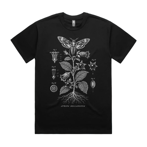 Front mockup of Vestigium XIII luxury 280 GSM heavyweight black t-shirt featuring a highly detailed botanical engraving of a deadly nightshade specimen with clean archival borders and taxonomy text markers printed in monochrome ink.