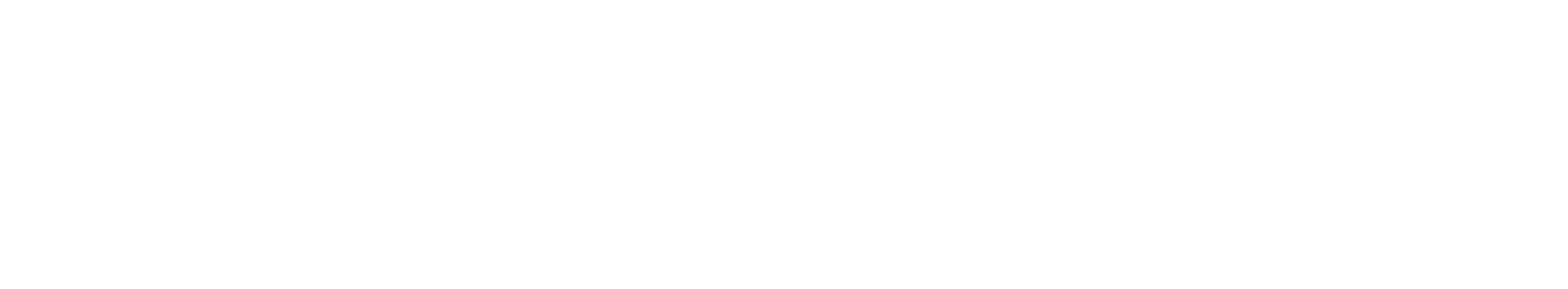 Vestigium XIII